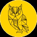 OWLSTUDIO