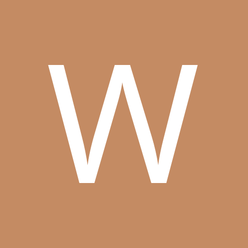 wielebny2013