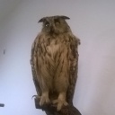 Karkur93