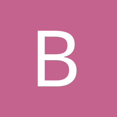 blogerka_