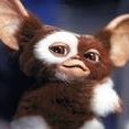 .gizmo.