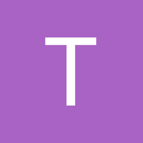 turysta