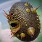Saccorhytus