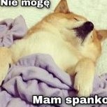 BabkaBożaBrioszka
