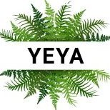 yeya