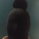 Monarchini incognito