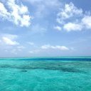 ***** tepaczke i cpuna