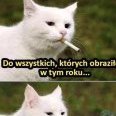 0dbytBoży