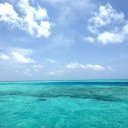 ***** moona i salowa