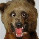 Krzystof Kupa 🇨🇦