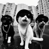 karmazynowy przyplyw