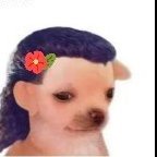 BożeJajo