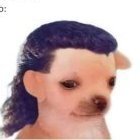 BożeJajo