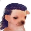 WywaloneJajcā
