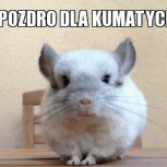 KnurBoży