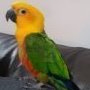 Elciaa <3