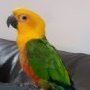 Elciaa <3