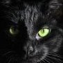 rise of evil