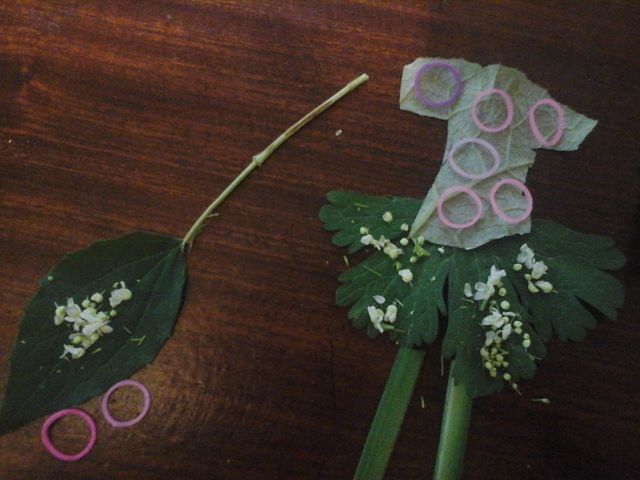 monthly_2015_06/konkurs-dzwoneczek-i-bestia-z-nibylandii_30976.jpg