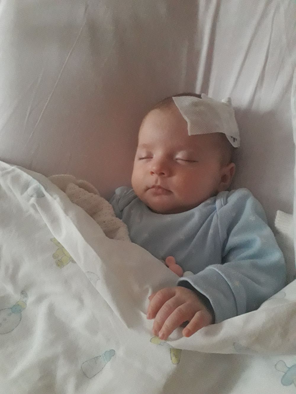 monthly_2019_11/pazdziernikowe-2019_80084.jpg